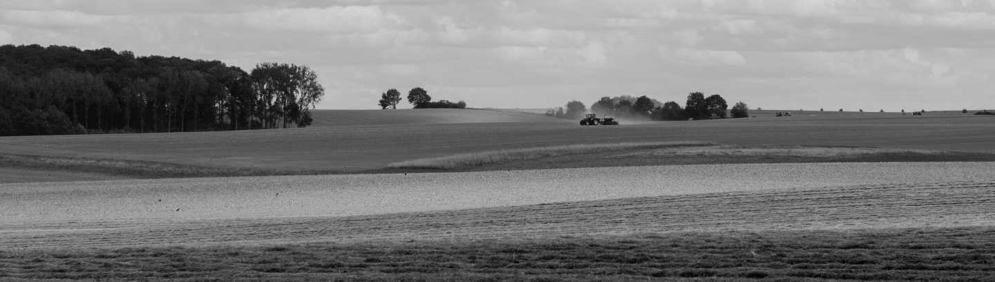 Landscape in the region of Rammée