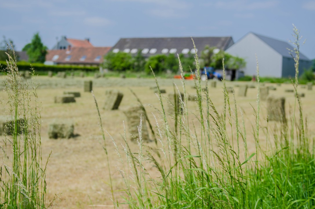 Baling Hay